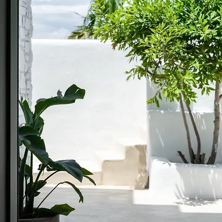 Parea - Adults Only Parikia (Paros)